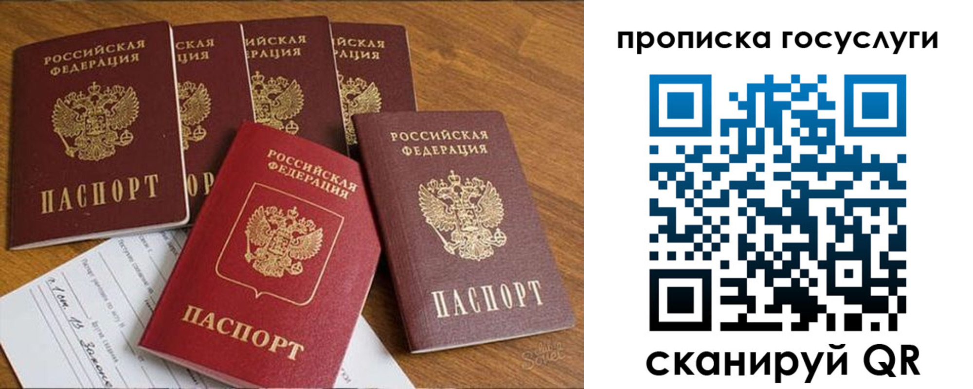 где прописаться в Кингисеппе