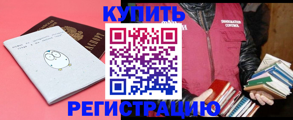 прописка поиск в Кингисеппе